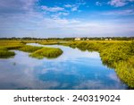 Reflections in a marsh in St. Augustine, Florida.
