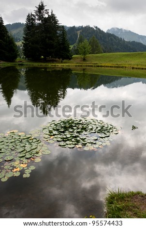 reflections on Lac Des Joncs in Switzerland