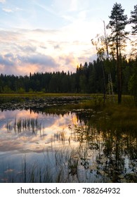 Reflections on the Lake - Lusi, Finland