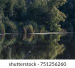 Reflections on Mirror Lake