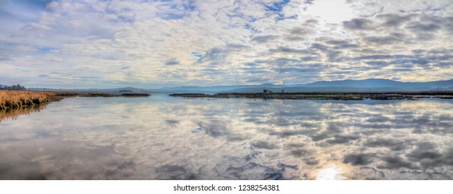 Reflections On The Tamar River In Tasmania