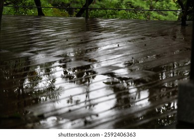 reflections on the wet deck in the rainy forest