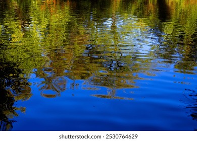 Reflections in the pond of an autumn forest - Powered by Shutterstock