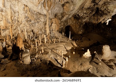 Reflections shimmer on the shallow water within Postojna Cave, mirroring the diverse array of stalagmites and other intricate cave formations illuminated in the vast underground chamber.