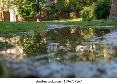 Reflections in a small puddle
