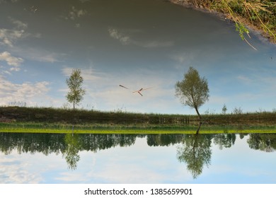 reflections of trees and clouds in water