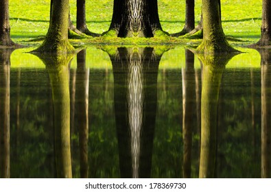 294 Tree trunk sink Images, Stock Photos & Vectors | Shutterstock