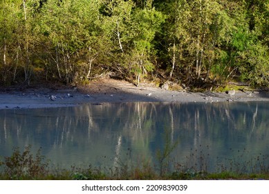 Reflections Of Trees In Rhine River At Gorge Of Anterior Rhine Valley On A Sunny Autumn Day. Photo Taken September 26th, 2022, Versam, Switzerland.