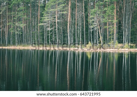 Similar – Image, Stock Photo sun-yellow houses are reflected in a stream…