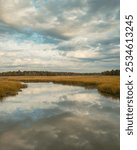 Reflections in a wetland in Heislerville, Maurice River, New Jersey