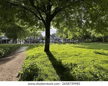 Reflective perspective of upside down scene, featuring reflection of trees on the ground, captured through a fisheye lens