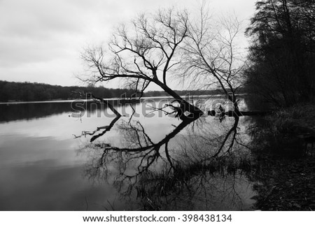 Reflexion