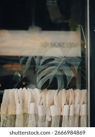 reflextion of leaf behind the window