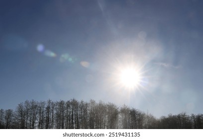 Refraction of sunlight in a forest on a clear winter day. Sun ray with bokeh shining over leafless trees.  - Powered by Shutterstock