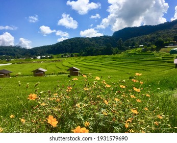 Refresh Yourself In Chiang Mai During Green Season.