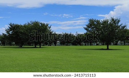 A refreshing breeze blows through the lawn of the park