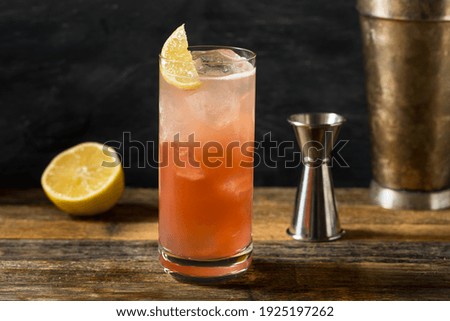 Refreshing Cold Sloe Gin Fizz Cocktail with a Lemon Garnish