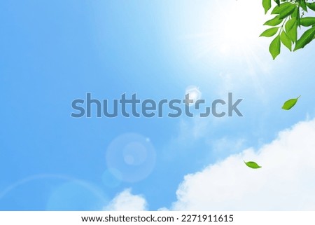 A refreshing dappled sunlight and a blue sky background with ultraviolet rays. Leaves dancing in the wind, creating a refreshing image