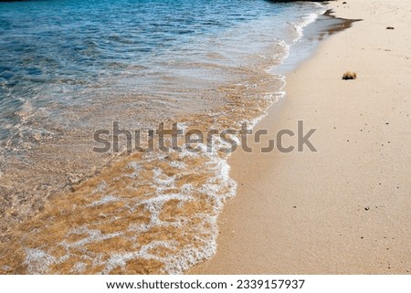The refreshing edge of the red sea beach, whose waves bring and carry the foaming lagoon water into the sand. Beautiful trip in Egypt, Red Sea