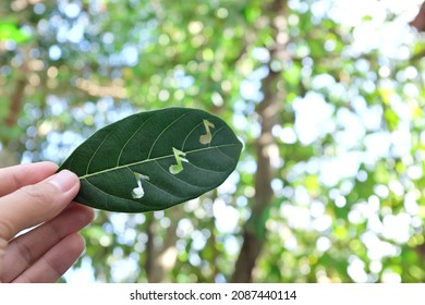 Refreshing, Fresh, Natural And Cool Music Concept. Hand Holding Green Leaf With Musical Notes Cutout For Album Cover In Nature Background.