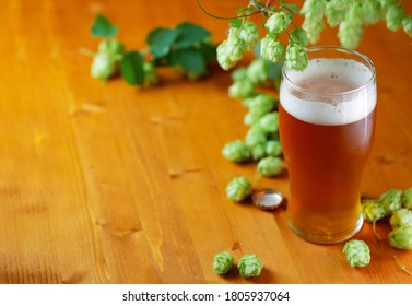 Refreshing Glass Of Craft Beer IPA With Hops