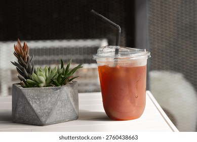Refreshing iced tea in a clear plastic cup with a black straw sits beside a geometric gray pot holding a succulent plant. The plant features green and brown-toned leaves