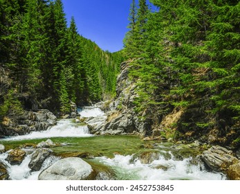 Refreshing landscape of a cold mountain river rapidly flowing through sharp rocks and forming waterfalls Coniferous forests grow along the rocky riverbed. Latorita Massif, Carpathia, Romania.  - Powered by Shutterstock