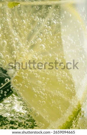 Refreshing macro shot of lemon, mint, and bubbles in a sparkling drink. Perfect for beverage ads, summer concepts, and healthy lifestyle visuals.