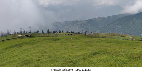 Refreshing meadow of Pir Chinasi with beautiful landscape in Azad kashmir, Pakistan.  - Shutterstock ID 1801111183