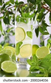 Mojito Day Images Stock Photos Vectors Shutterstock