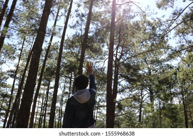 Refreshing in the pine forest