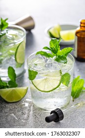 Refreshing Summer Mojito Cocktail With Aromatic Bitters In A Dropper