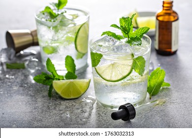 Refreshing Summer Mojito Cocktail With Aromatic Bitters In A Dropper