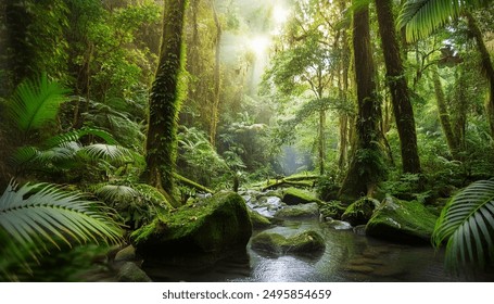Refreshing view of a sunlit rainforest