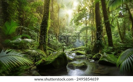 Refreshing view of a sunlit rainforest