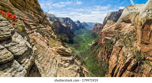 Refrigerator Canyon leads into the main canyon of Utah's Zion National Park as seen from above with a blue, cloud-draped sky. - Powered by Shutterstock