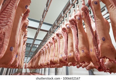 Refrigerator meat storage with handing sides in pork butchery.