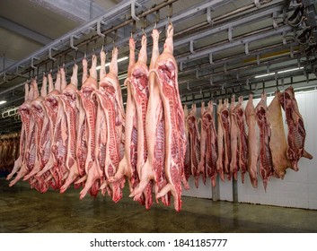 Refrigerator Pork Meat Storage. Meat Packing Industry