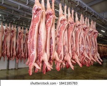 Refrigerator pork meat storage. Meat packing industry