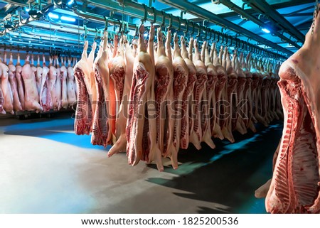 Refrigerator for storing suspended pork carcasses