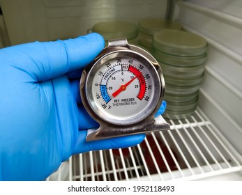 Refrigerator thermometer with colorful food in cold storage unit. Refrigeration safety gauge displaying safe food temperature. - Shutterstock ID 1952118493