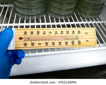 Refrigerator Thermometer With Colorful Food In Cold Storage Unit. Refrigeration Safety Gauge Displaying Safe Food Temperature.