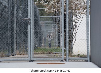 Refugee Or Asylum Seeker In Immigration Detention Prior To Hearing