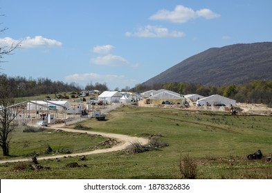 Refugee Camp Lipa Near Bihac, Bosnia And Herzegovina. More Than 1200 Migrants Living Under The Tents In Western Bosnia. Balkan Route. 