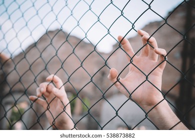 Refugee Hands Keeping Metal Borders Fence Mesh