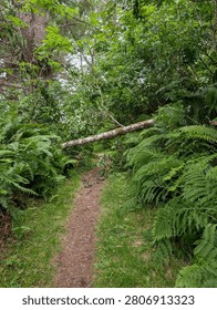 Regardless of the obstacles the trail leads forward.