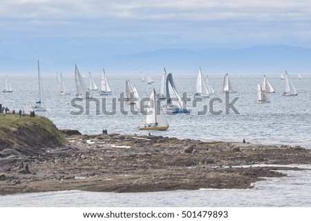 Regatta