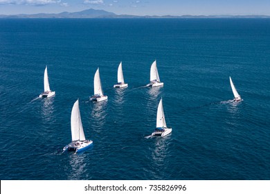 Regatta Sailboat And Catamaran In Mozambique Channel