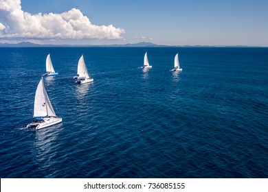 Regatta Sailboat And Catamaran In Mozambique Channel