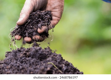 regenerative organic farmer, taking soil samples and looking at plant growth in a farm. practicing sustainable agriculture	

in australia - Powered by Shutterstock